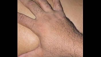 Ayam Bangun Dan Kalkun Masuk