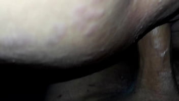 Asian Tits