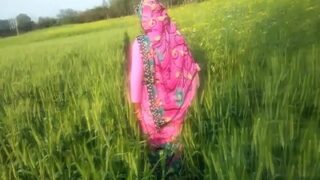Video Panas Pasangan Punjab Yang Menggairahkan Di Ladang Mereka
