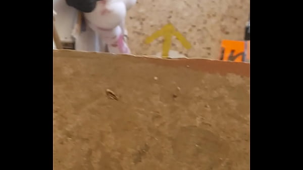 Goblok Betul Anjing Ini, Culottenya Kebuka Lebar Pas Dia Nunduk, Bikin Pengen Ngerogoh.